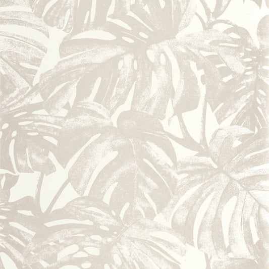 Mata Rio Wallpaper - Beige Ficelle - Casadeco - 201791410 - Premier Wallcovering