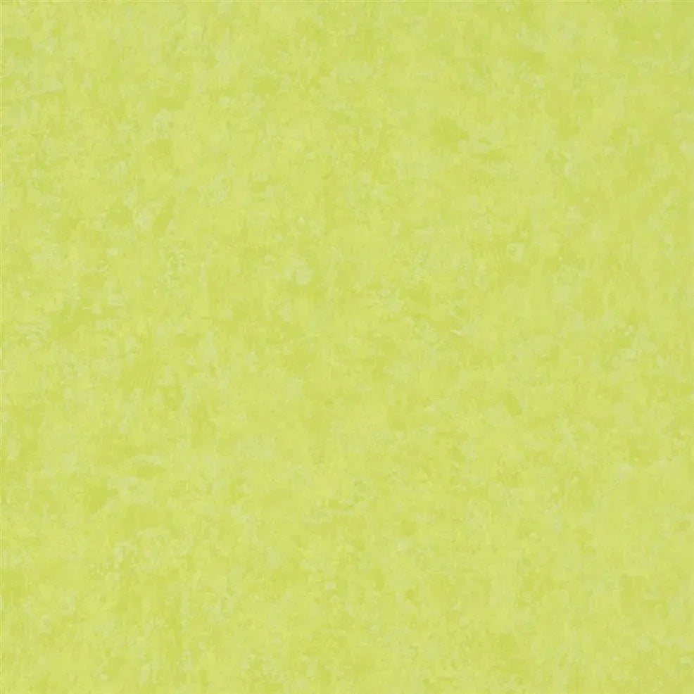 Mayura Wallpaper - Lime - P575/14 - Designers Guild