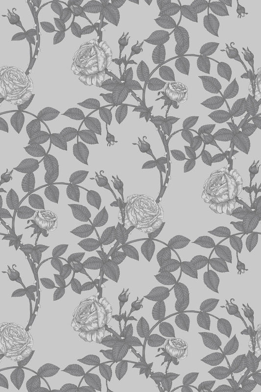 McGegan Rose Wallpaper - Grey - Timorous Beasties - HS/MCG/SMM/01 - Premier Wallcovering