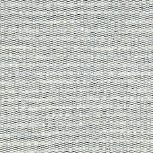 Mecox Wallpaper - Blue - Colefax & Fowler - 20283 - 02