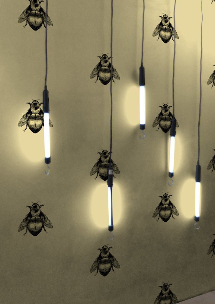 Napoleon Bee Wallpaper - Black & Gold on Gold - Timorous Beasties - TB/NAP/4000/SNW - Premier Wallcovering