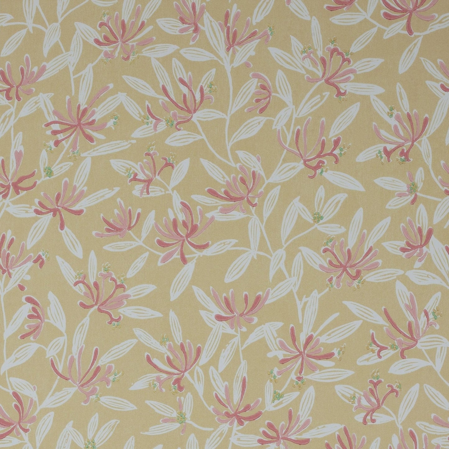 Nerissa Wallpaper - Yellow - J174W - 03 - Jane Churchill