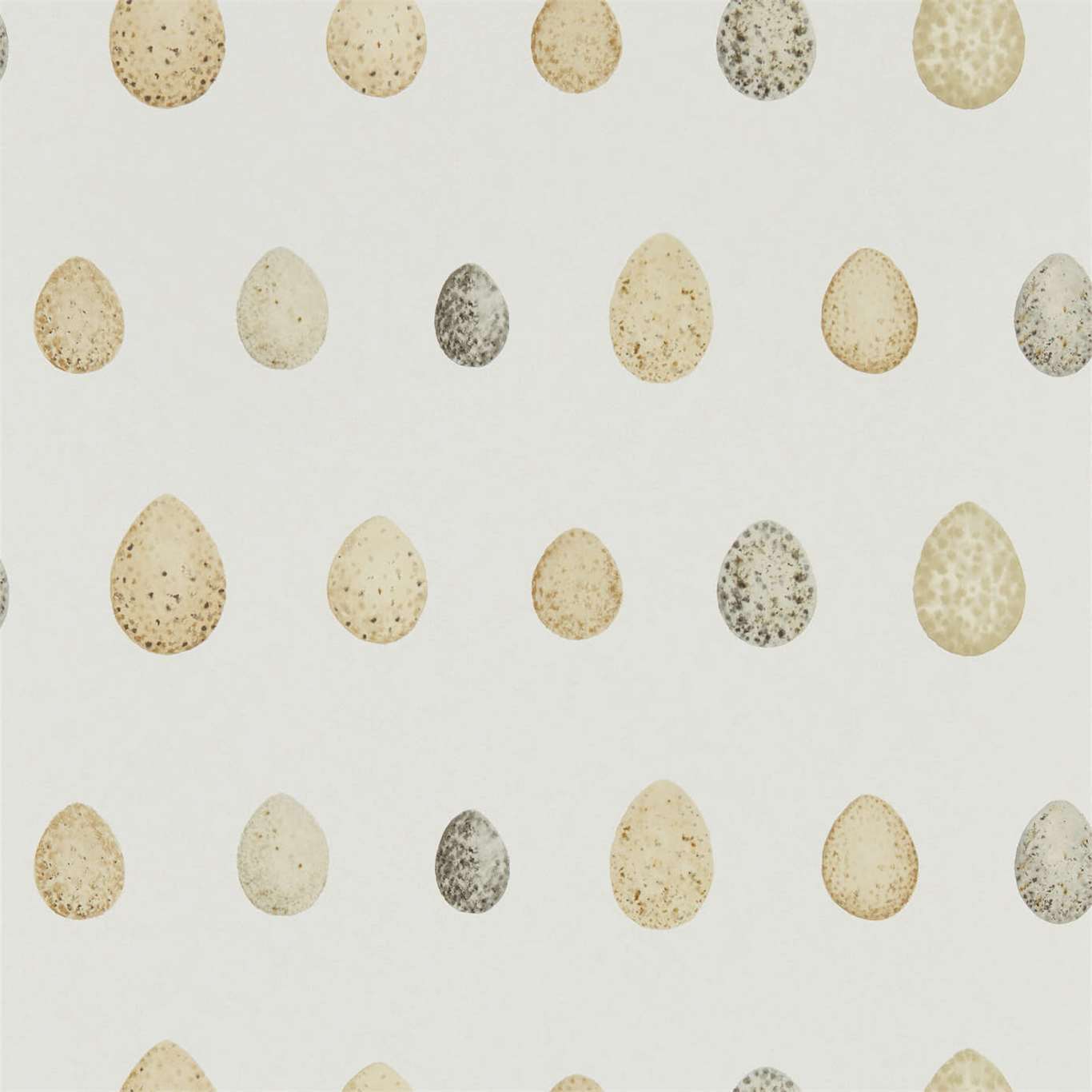 Nest Egg Wallpaper - Corn Graphite - Sanderson - DEBB216505