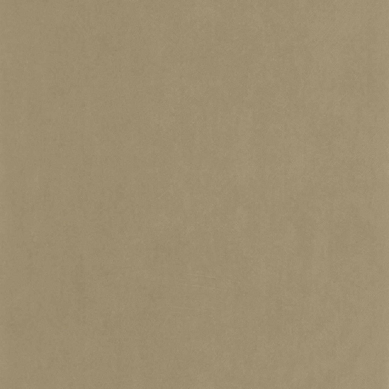 Nest Wallpaper - Beige Ficelle - Casadeco - 201002662 - Premier Wallcovering