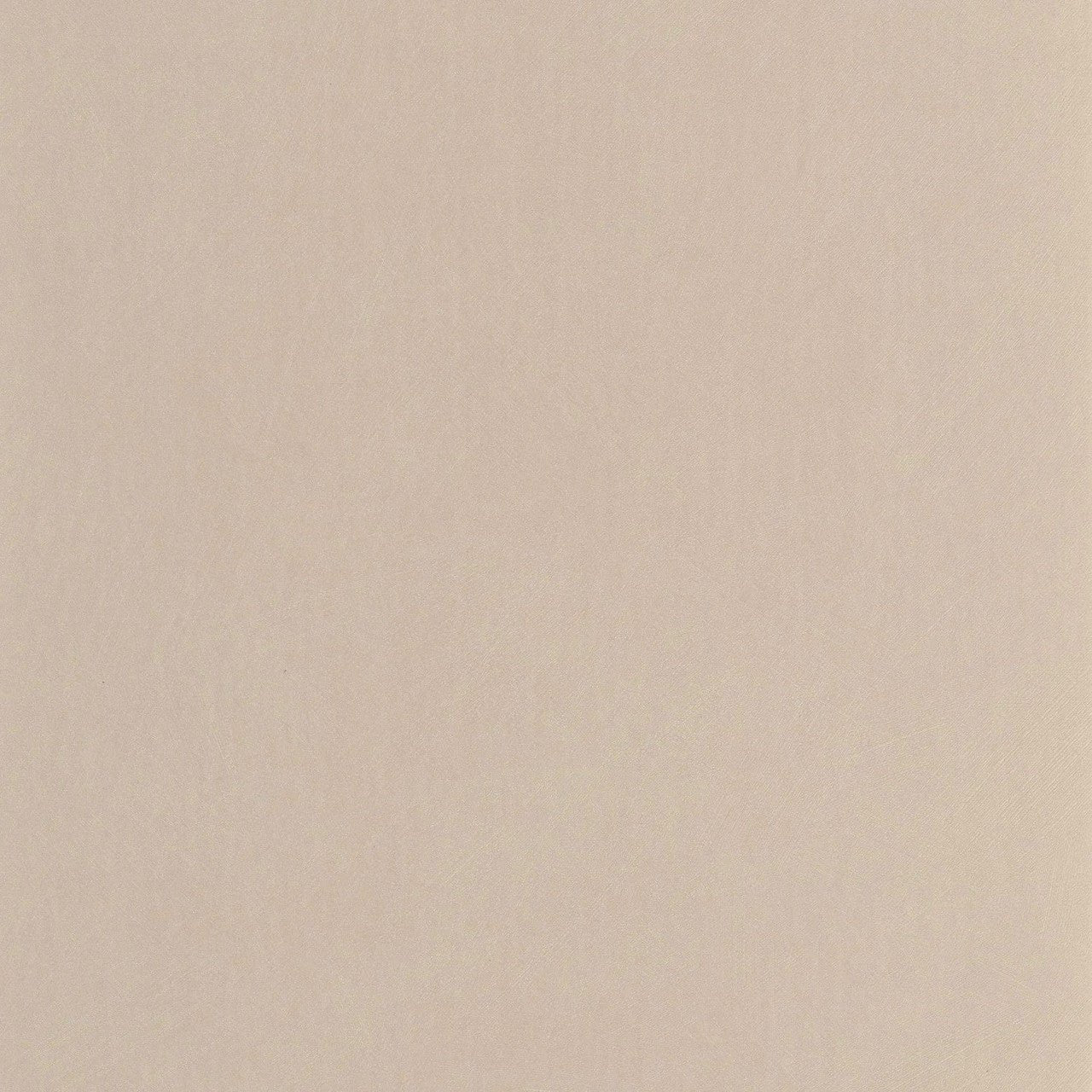 Nest Wallpaper - Taupe - Casadeco - 201001771 - Premier Wallcovering