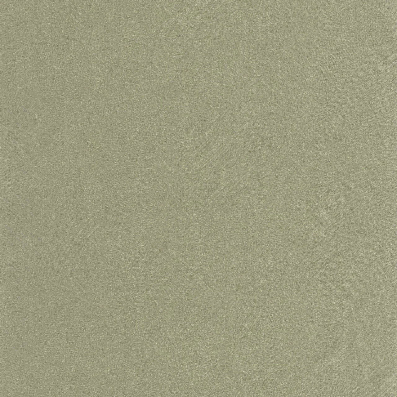 Nest Wallpaper - Vert Eucalyptus - Casadeco - 201007474 - Premier Wallcovering