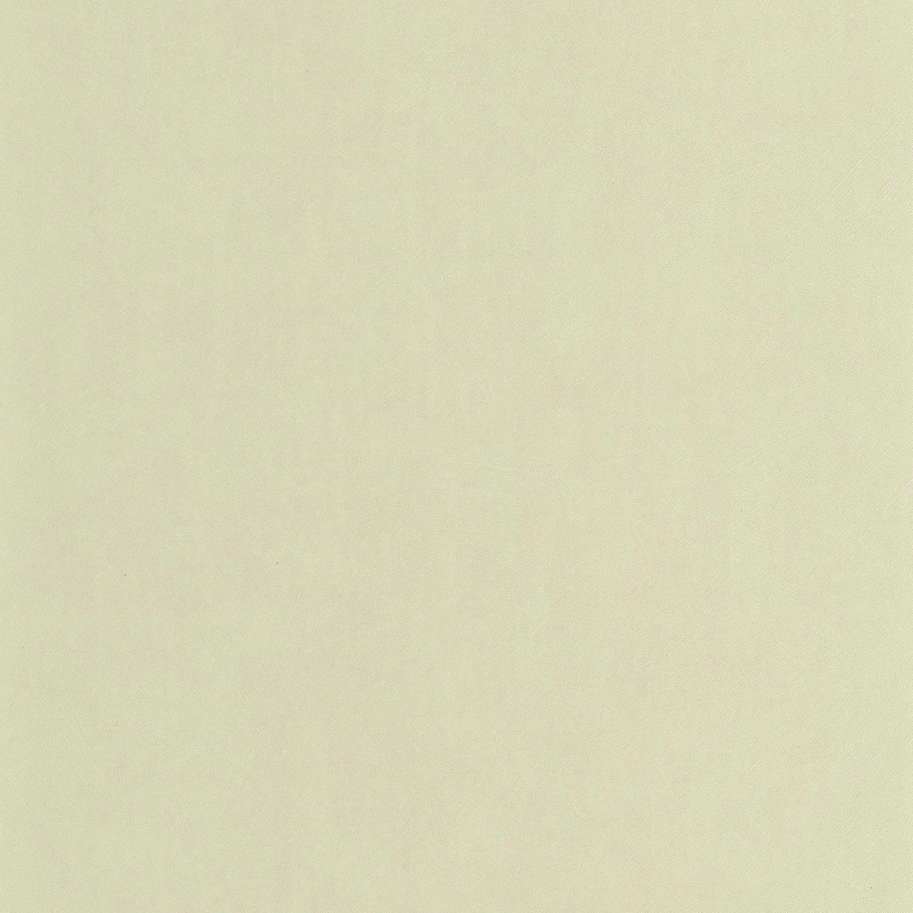 Nest Wallpaper - Vert The - Casadeco - 201007171 - Premier Wallcovering