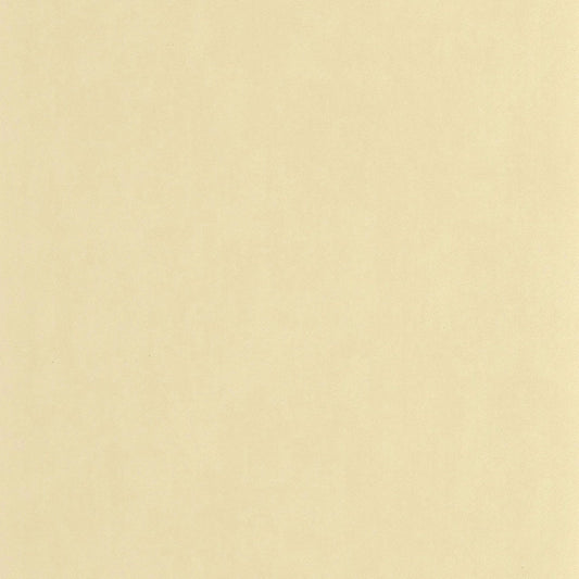 Nest Wallpaper - Beige Sable - Casadeco - 201001515 - Premier Wallcovering
