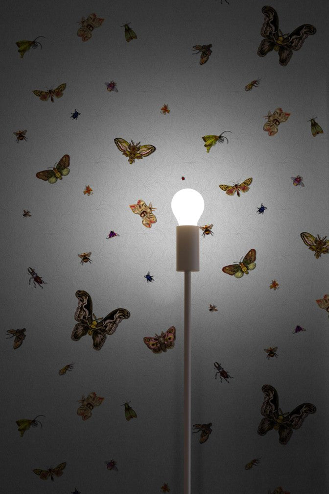 Nightcrawlers Wallpaper - Cool Grey - Timorous Beasties - RUS/NCR/MATT/02 - Premier Wallcovering