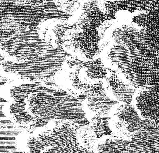 Nuvole Wallpaper - Black & White - 114/29058 - Cole & Son - Premier Wallcovering