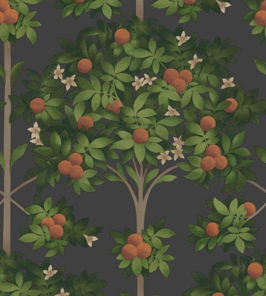 Orange Blossom Wallpaper - Orange & Spring Green on Black - 117/1003 - Cole & Son - Premier Wallcovering