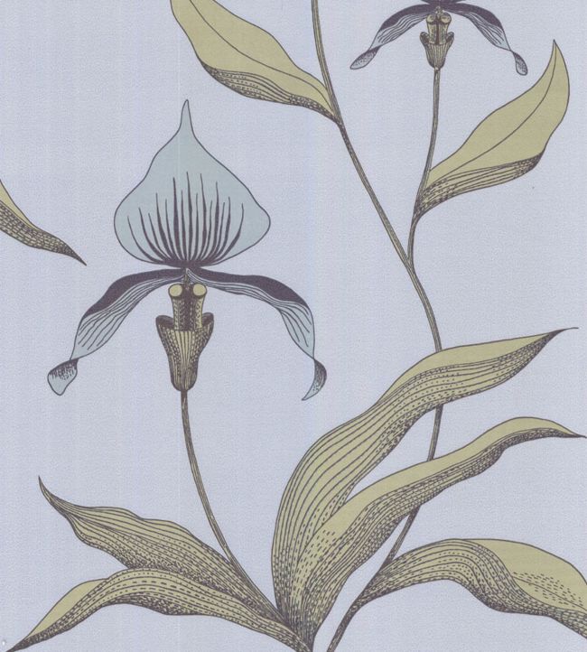 Orchid Wallpaper - Ice Blue & Old Olive on Powder Blue - 66/4026 - Cole & Son - Premier Wallcovering