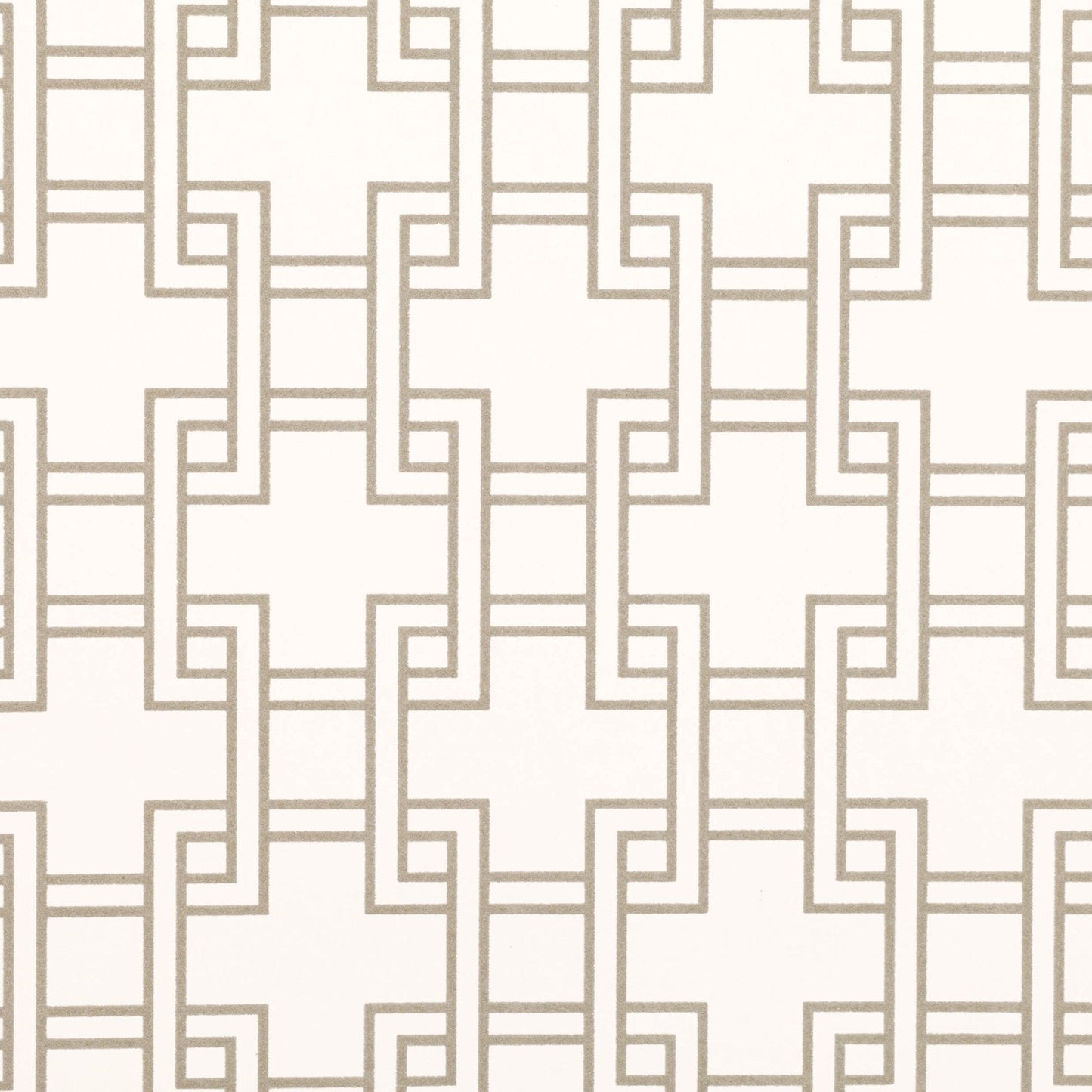 Orden Wallpaper - Whitewash - Romo - Lomasi - W401/01 - Premier Wallcovering