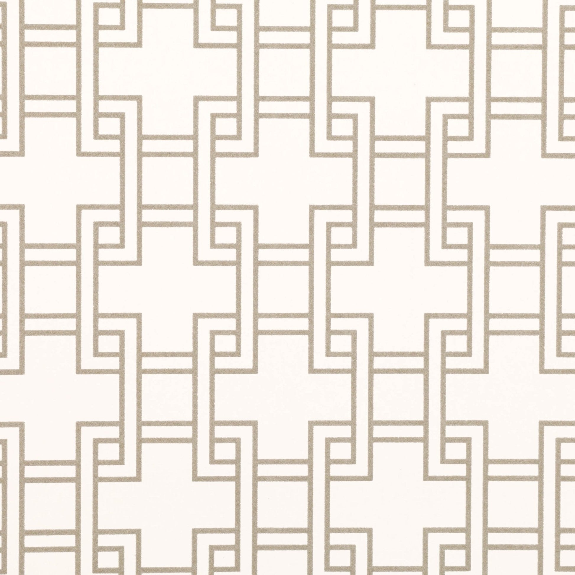 Orden Wallpaper - Whitewash - Romo - Lomasi - W401/01 - Premier Wallcovering