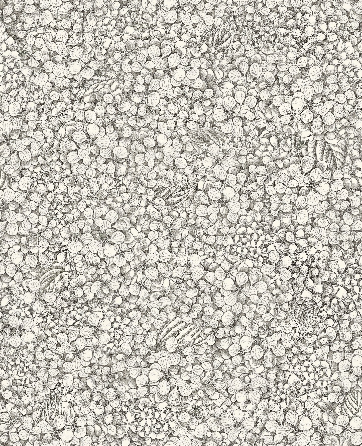 Ortensia Wallpaper - Black & White - 123/9043 - Cole & Son - Premier Wallcovering