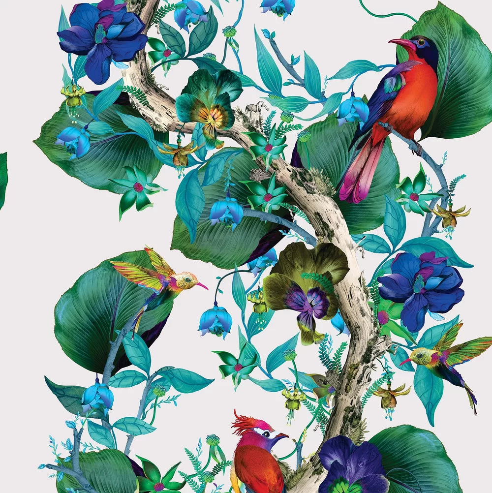 Rain Forest Wallpaper