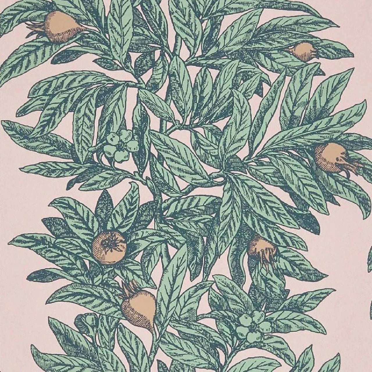 Medlar Wallpaper