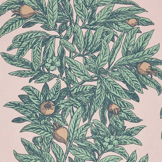 Medlar Wallpaper