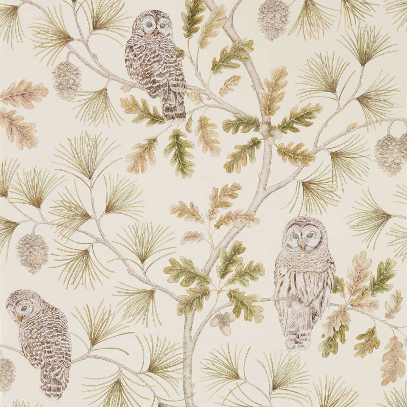 Owlswick Wallpaper - Briarwood - Sanderson - DYSI216597