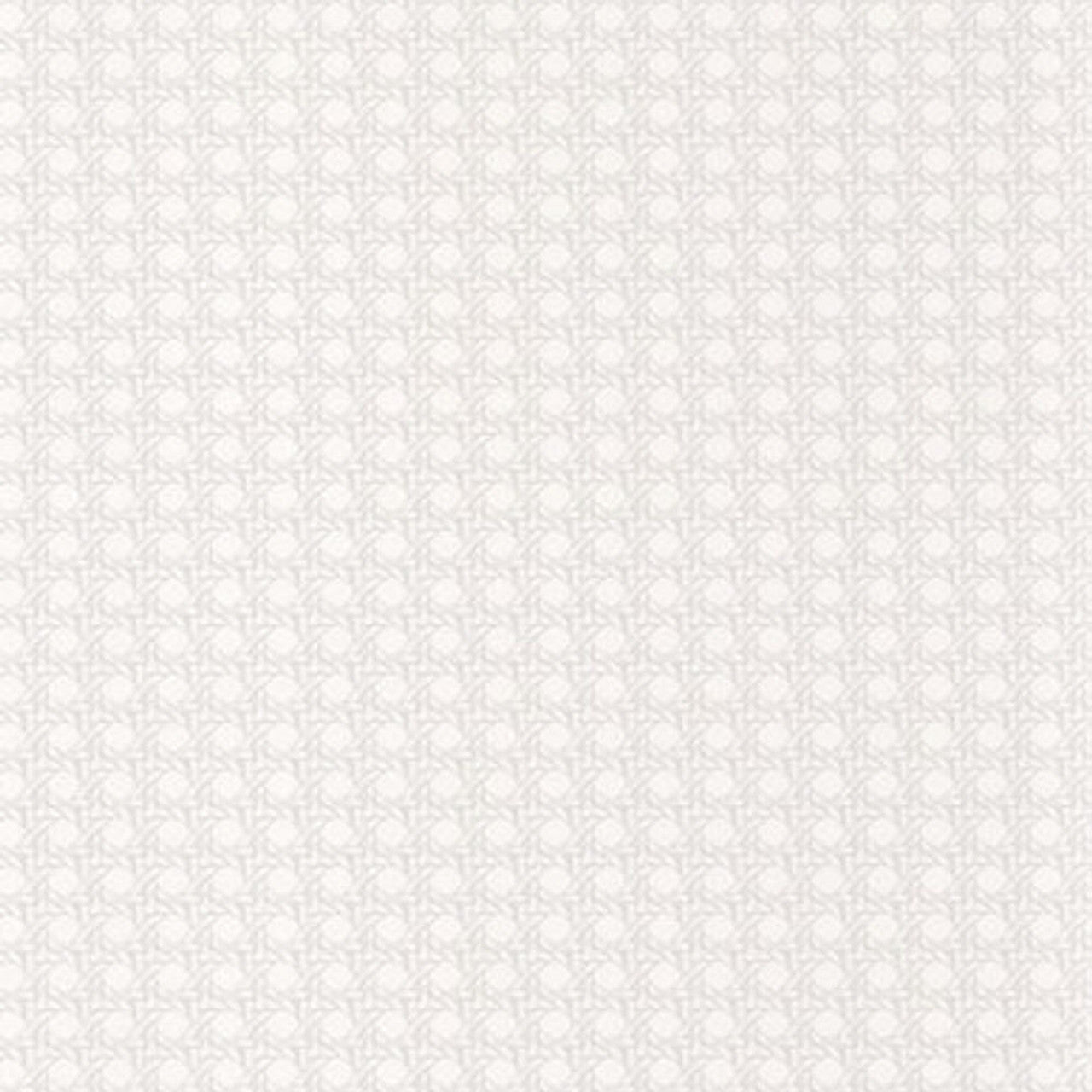 Paja Wallpaper - Blanc - Casadeco - 84340033 - Premier Wallcovering