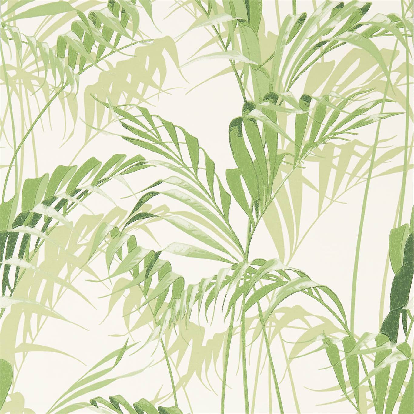 Palm House Wallpaper - Botanical Green - Sanderson - DGLW216643