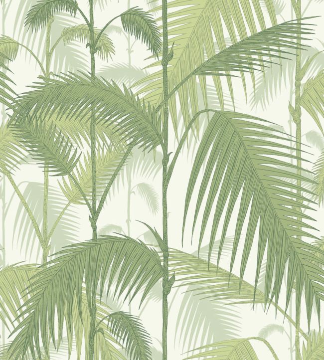 Palm Jungle Wallpaper - Olive Green on White - 95/1001 - Cole & Son - Premier Wallcovering