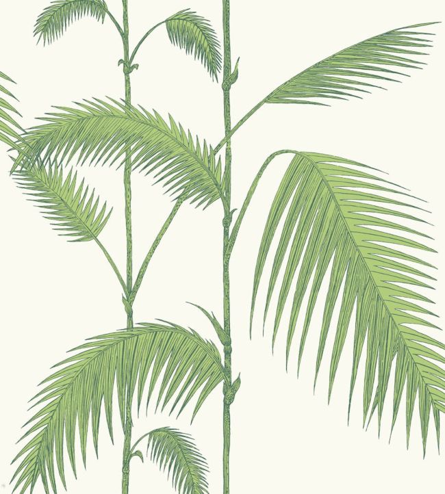Palm Leaves Wallpaper - Olive Green on White - 95/1009 - Cole & Son - Premier Wallcovering