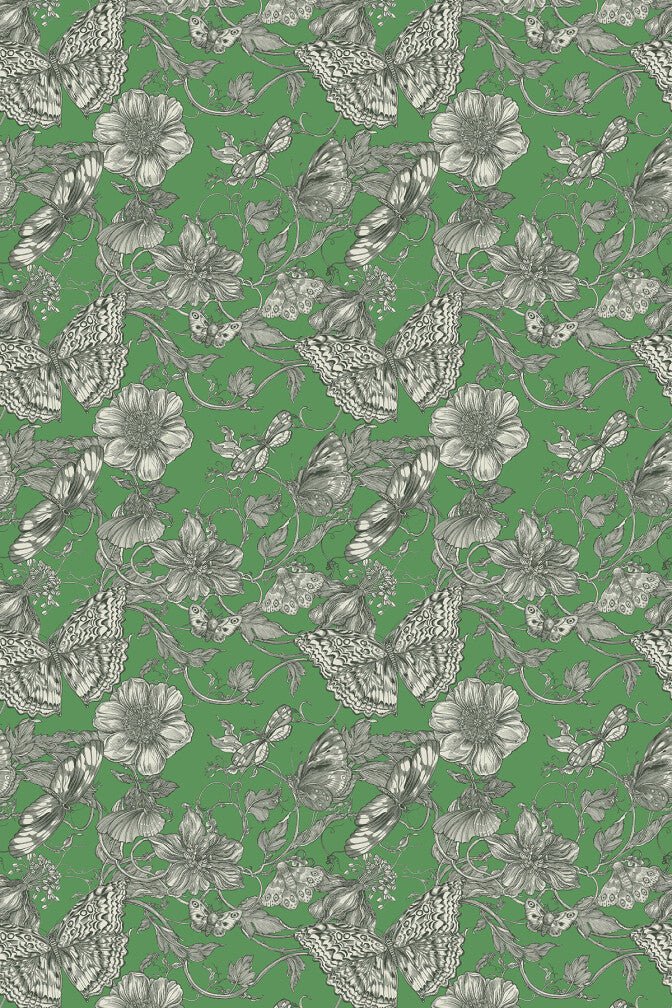 Papillon Wallpaper - Oleander - Timorous Beasties - BTN/PAP/TXMT/04 - Premier Wallcovering