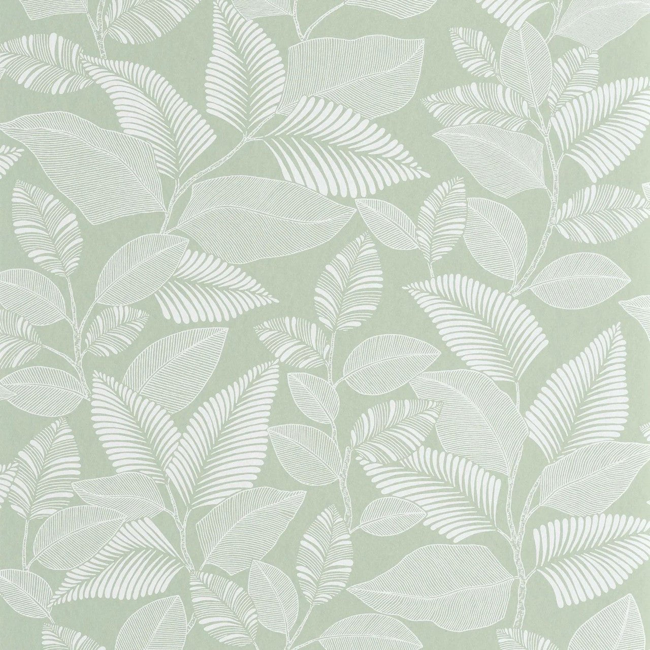 Paraty Rio Wallpaper - Vert Celadon - Casadeco - 201807244 - Premier Wallcovering