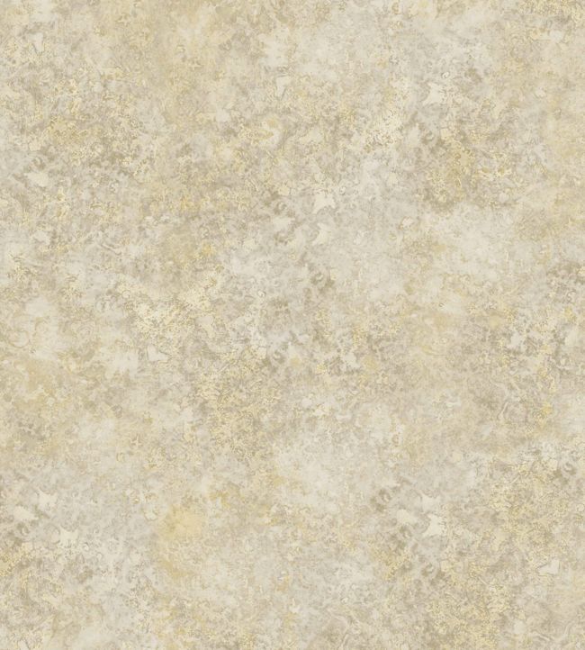 Patina Haze Wallpaper - Soft Metallic Gold - 113/9025 - Cole & Son - Premier Wallcovering