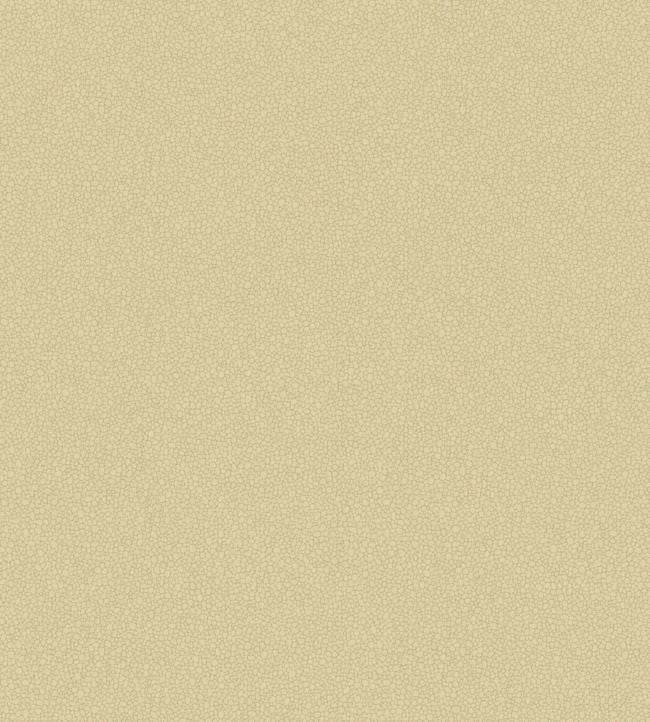 Pebble Wallpaper - Oat - 106/2024 - Cole & Son - Premier Wallcovering