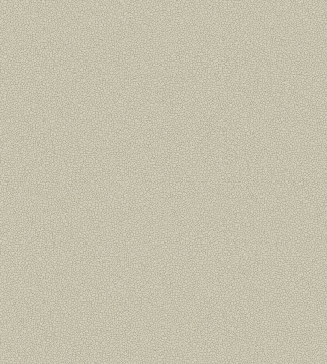 Pebble Wallpaper - Safari - 106/2019 - Cole & Son - Premier Wallcovering