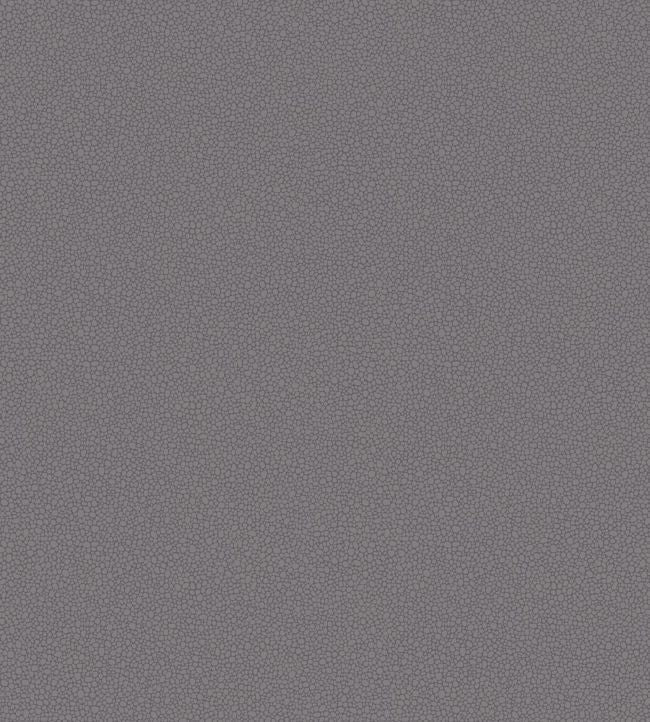 Pebble Wallpaper - Mink - 106/2015 - Cole & Son - Premier Wallcovering