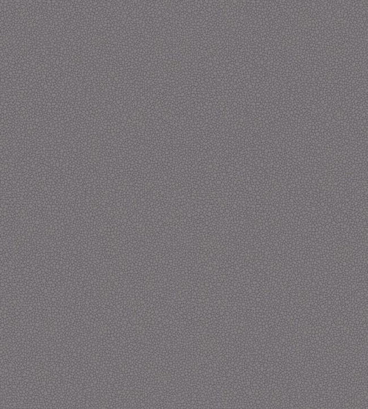 Pebble Wallpaper - Mink - 106/2015 - Cole & Son - Premier Wallcovering