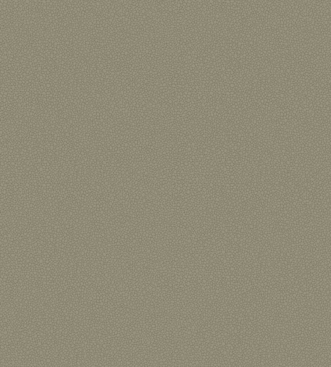 Pebble Wallpaper - Linen - 106/2020 - Cole & Son - Premier Wallcovering
