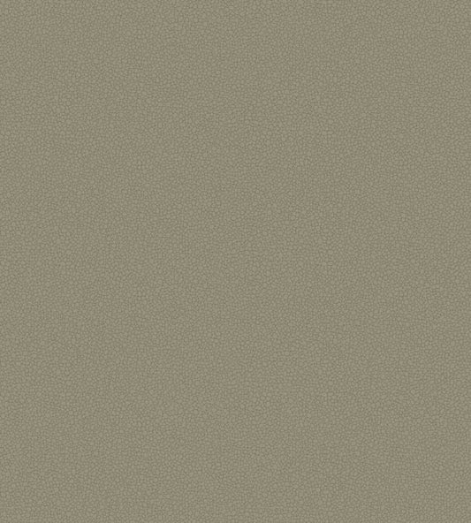 Pebble Wallpaper - Linen - 106/2020 - Cole & Son - Premier Wallcovering