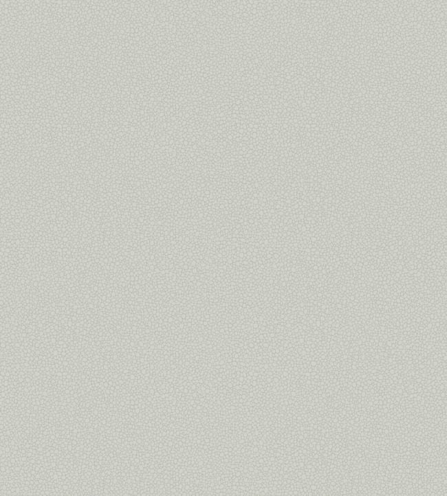 Pebble Wallpaper - Grey - 106/2017 - Cole & Son - Premier Wallcovering