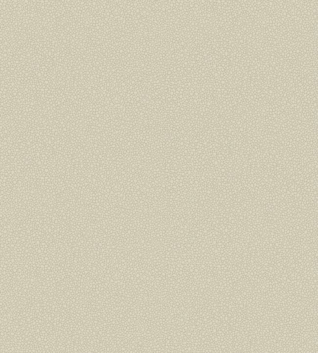 Pebble Wallpaper - Stone - 106/2022 - Cole & Son - Premier Wallcovering