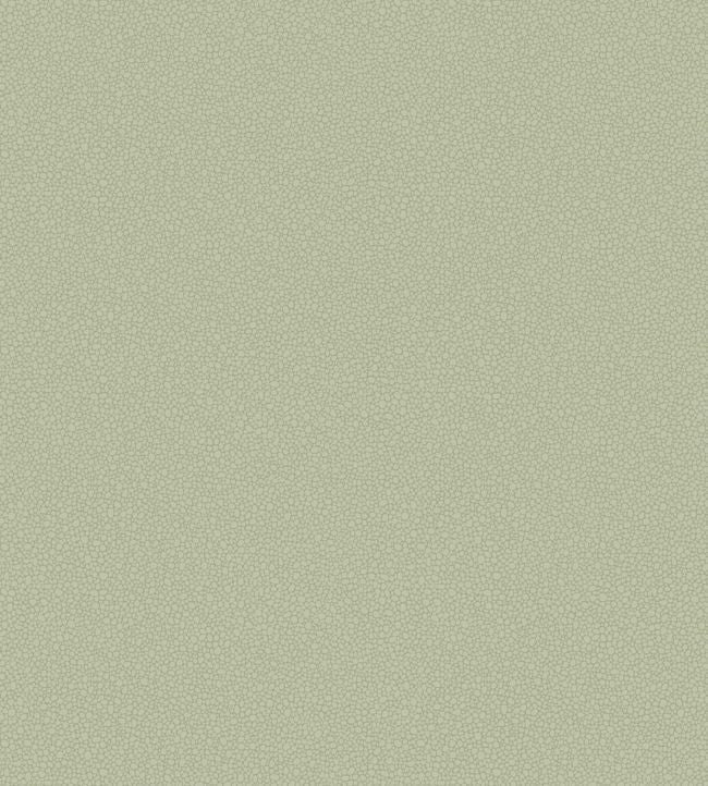 Pebble Wallpaper - Soft Olive - 106/2027 - Cole & Son - Premier Wallcovering