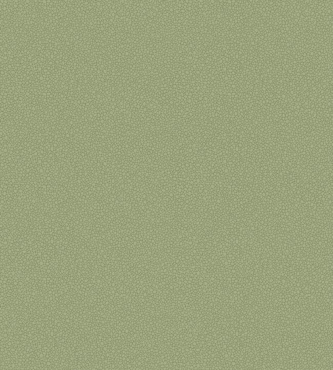 Pebble Wallpaper - Old Olive - 106/2026 - Cole & Son - Premier Wallcovering