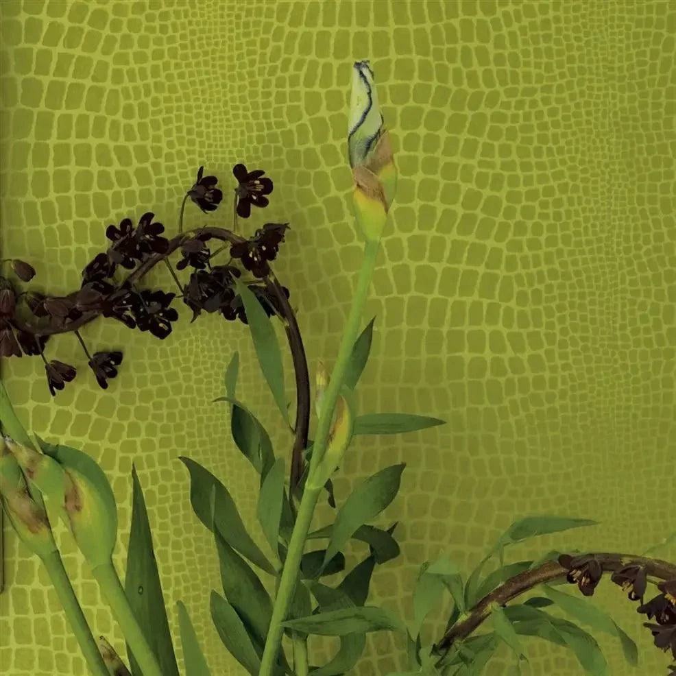 Pietra Wallpaper - Ecru - P544/03 - Designers Guild