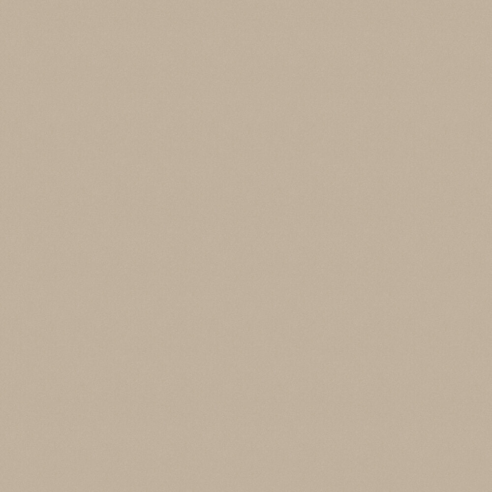 Pigment Wallpaper - Sahara Sand - Boråstapeter - 7576 - Premier Wallcovering