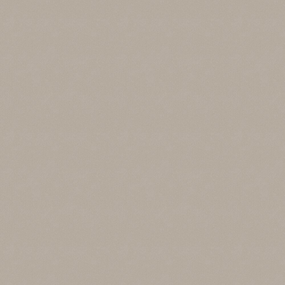 Pigment Wallpaper - Shell Sand - Boråstapeter - 7575 - Premier Wallcovering