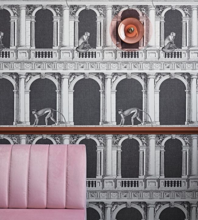 Procuratie E Scimmie Wallpaper - Black & White - 114/21041 - Cole & Son - Premier Wallcovering