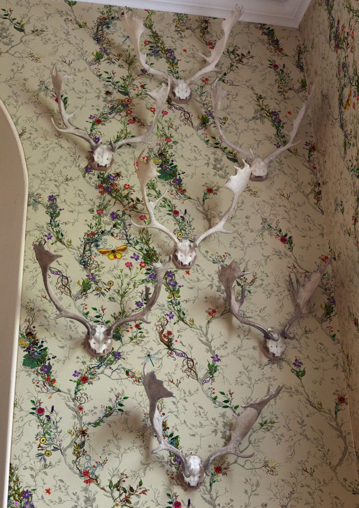 Random Ruskin Wallpaper - Beige - Timorous Beasties - RUS/RRK/MICA/02 - Premier Wallcovering