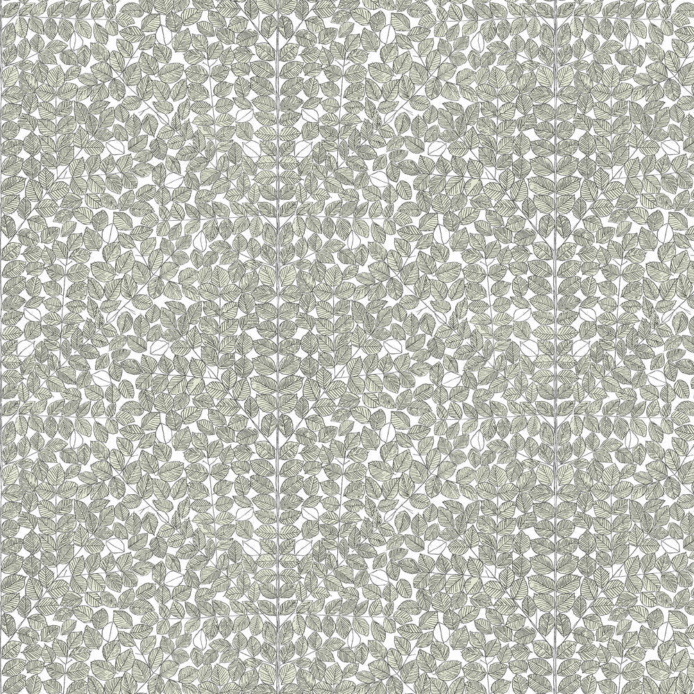 Romans Wallpaper - Black, White & Green - Boråstapeter - 1769 - Premier Wallcovering