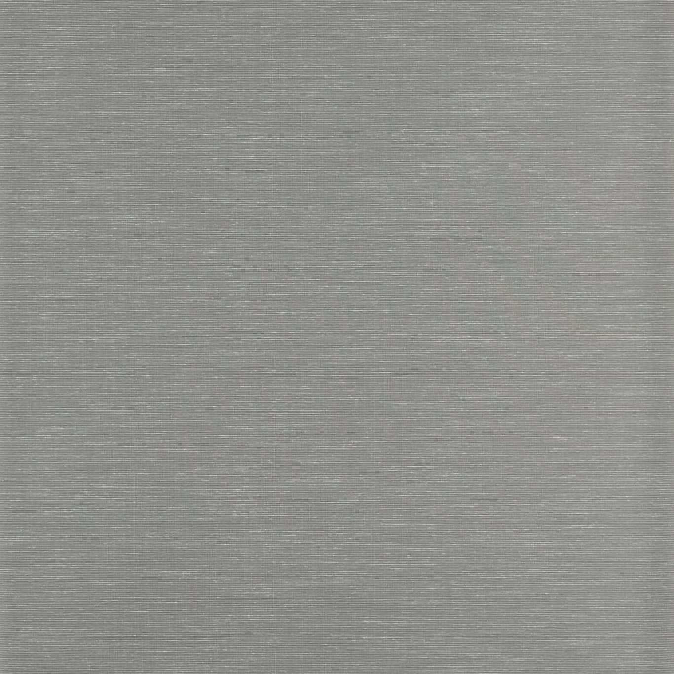 Rushes Wallpaper - Silver Birch - ZAKA312493 - Zoffany