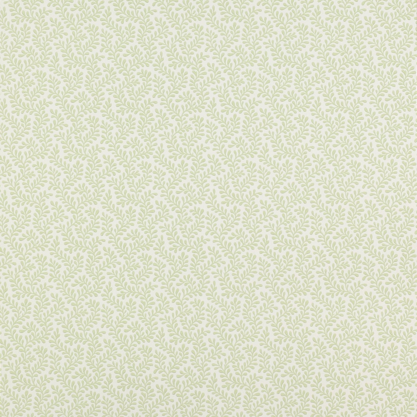Rushmere Wallpaper - Leaf - Colefax & Fowler - 07985/04