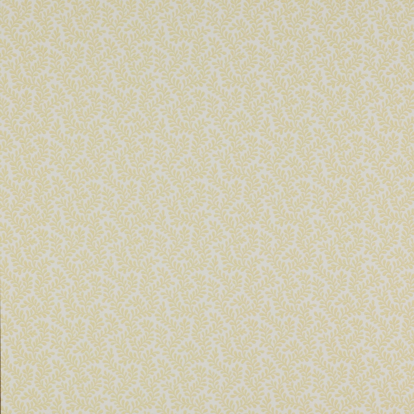 Rushmere Wallpaper - Yellow - Colefax & Fowler - 07985/01