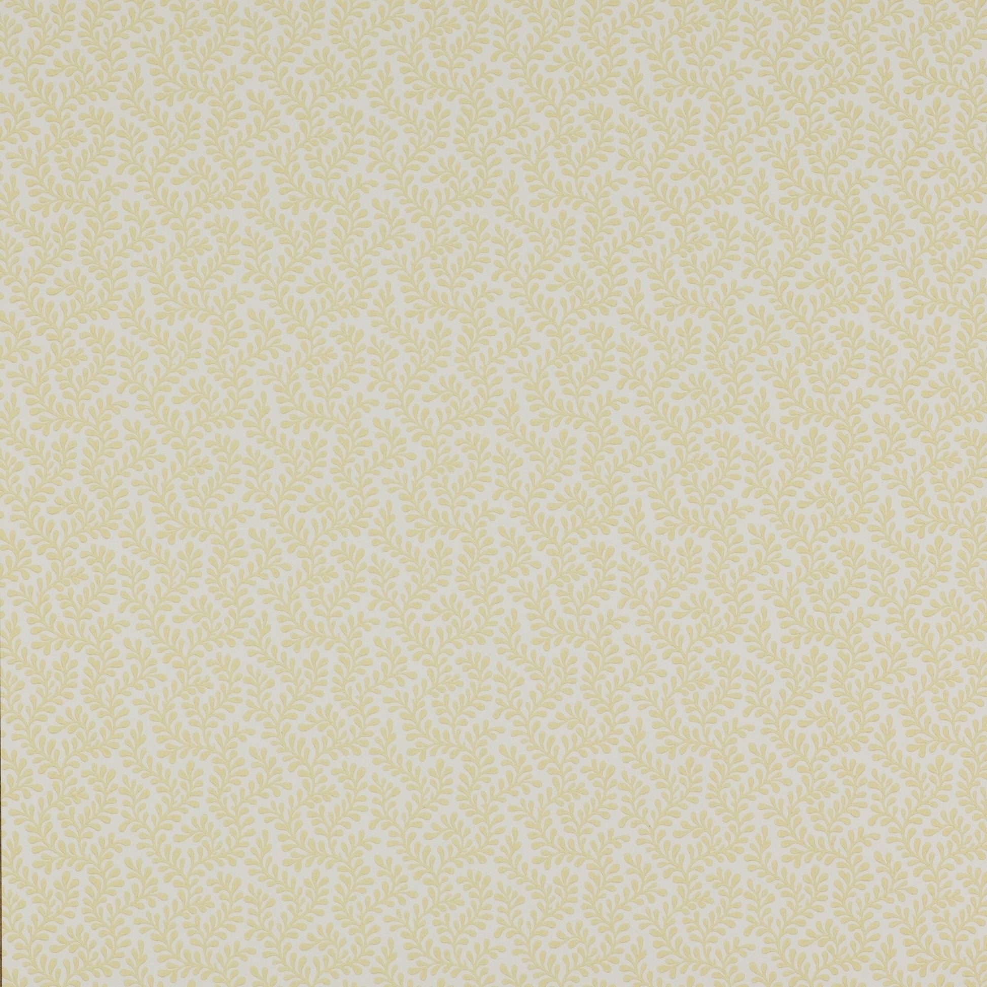 Rushmere Wallpaper - Yellow - Colefax & Fowler - 07985/01